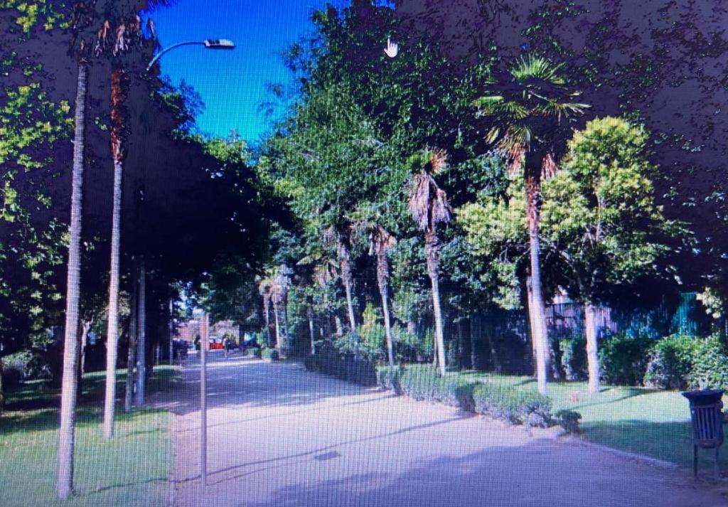 Noria 2B Apartman Alcalá de Henares Kültér fotó